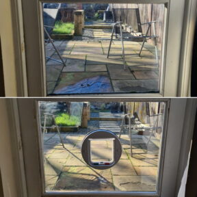 Cat Flap Into Single Glazing